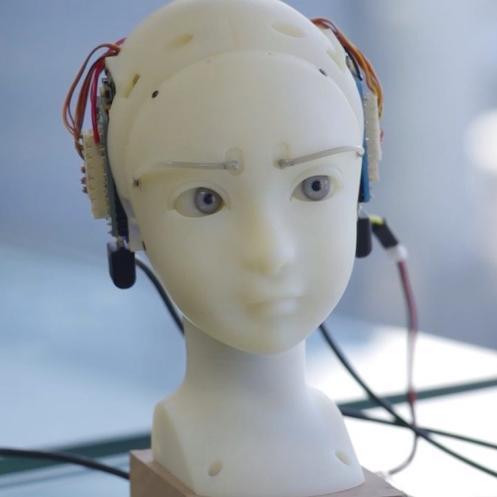 ヒューマノイドヘッド
