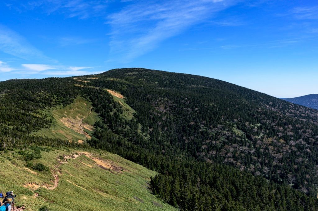山