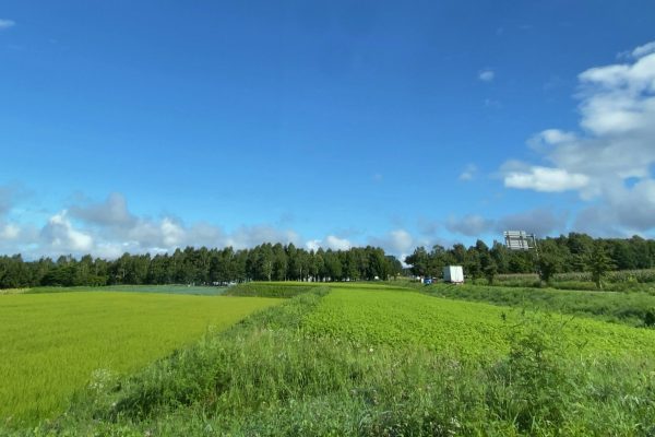 自動車メーカーの協業に見る「競争から共創」のシフト