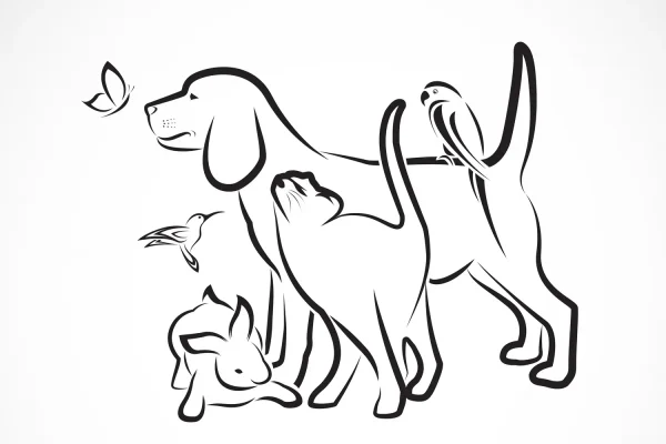 pet